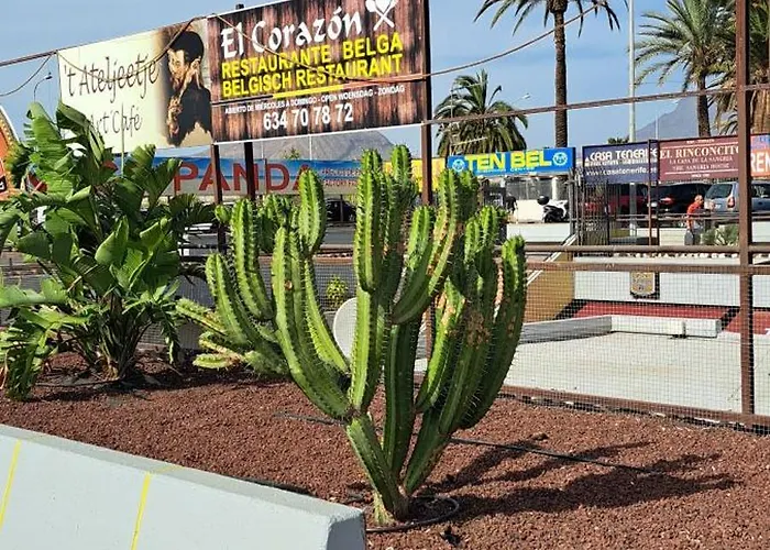 Casa Terrasol * Arona (Tenerife)