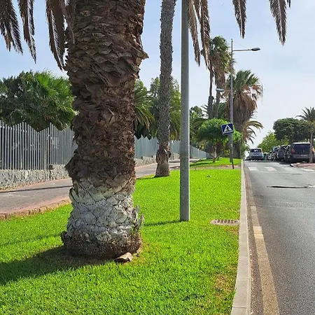 Appartamento Casa Terrasol