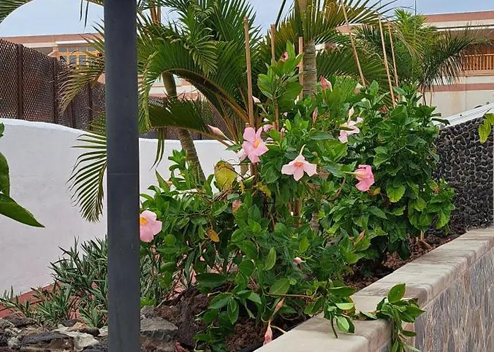 Appartement Casa Terrasol *