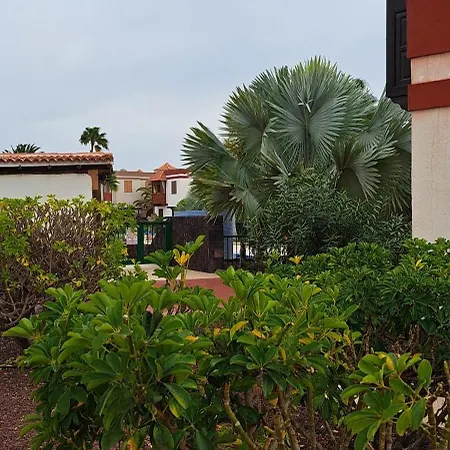 公寓 Casa Terrasol
